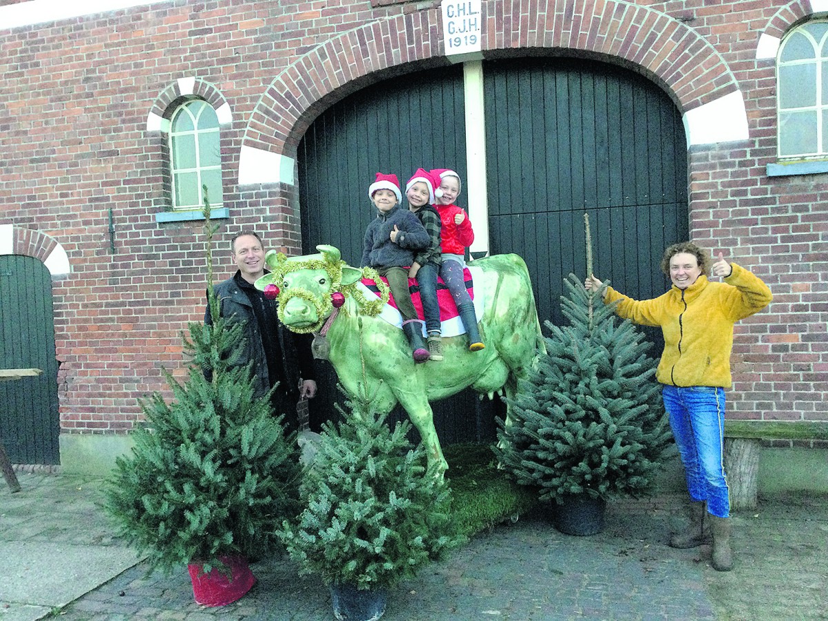 Lokaal gekweekte Kerstboom Rond Haaksbergen